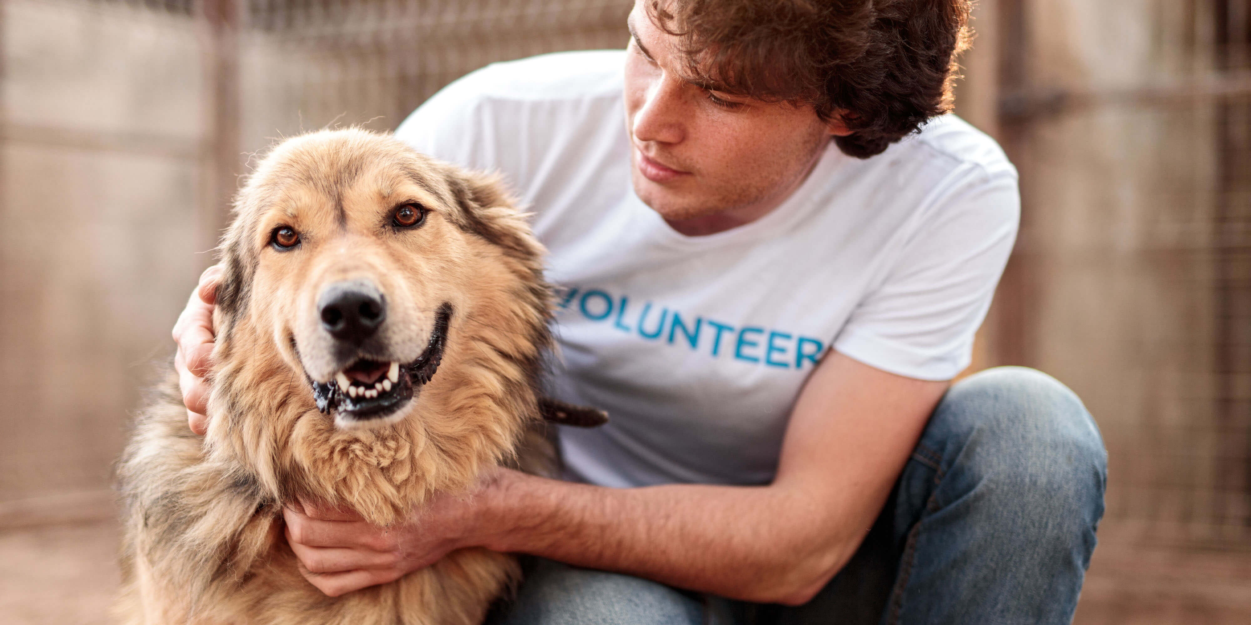 Fostering pets
