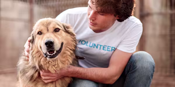 Fostering pets
