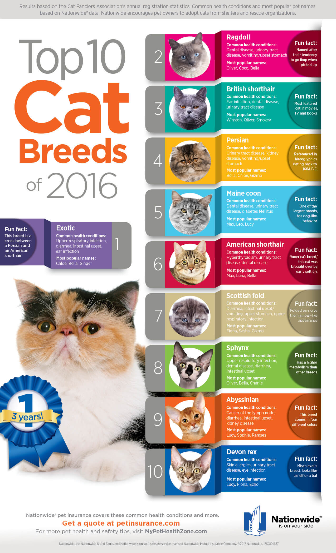 The Most Popular Cat Breeds in America