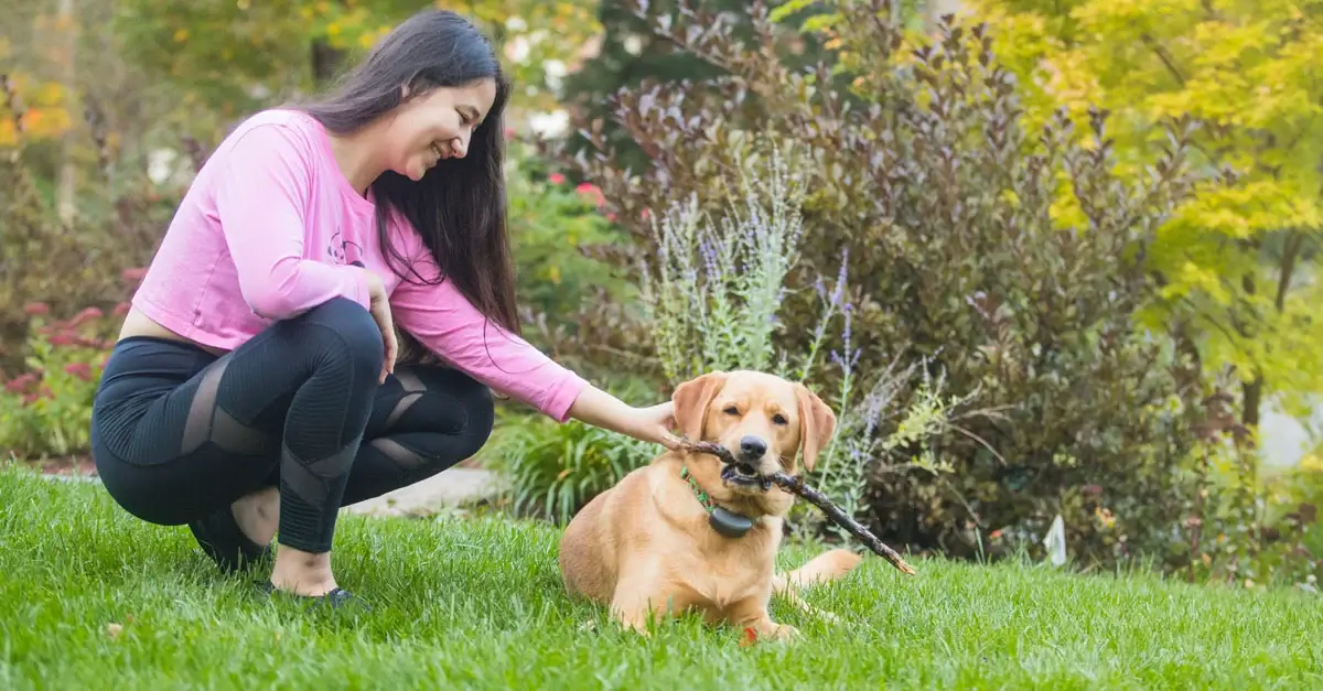 Protection when it matters most 4