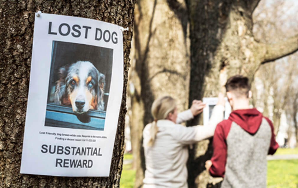 8797C 3 act quick-jpg