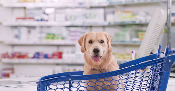 Save on pet prescriptions