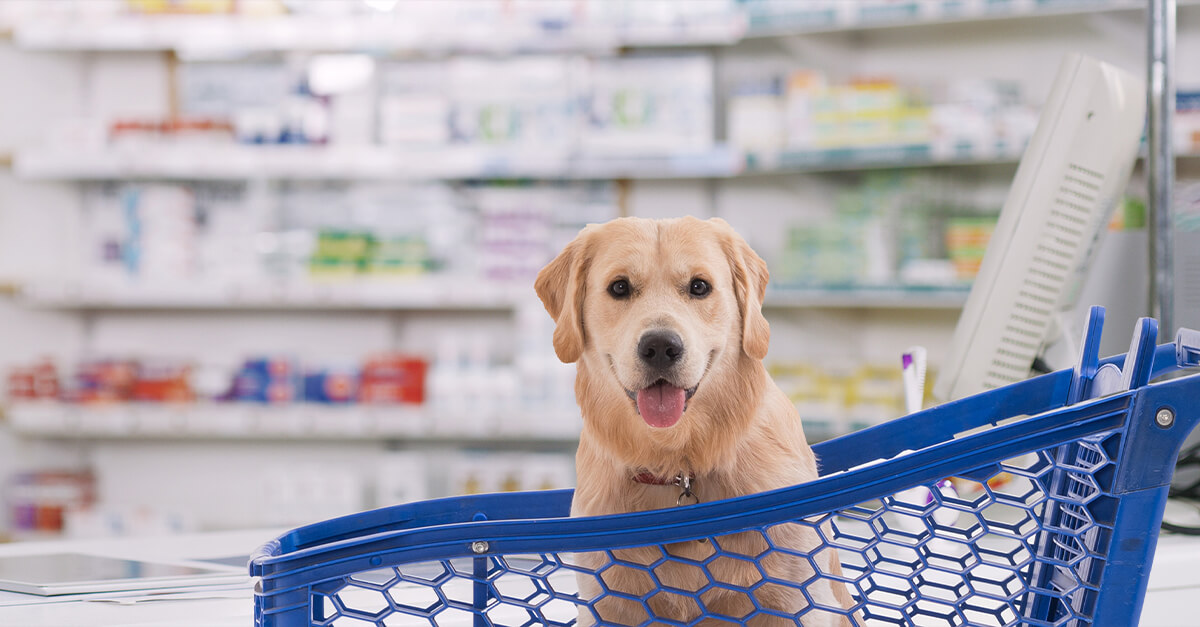 Save on pet prescriptions