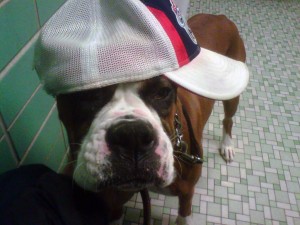 BoltPostSurgery-300x225