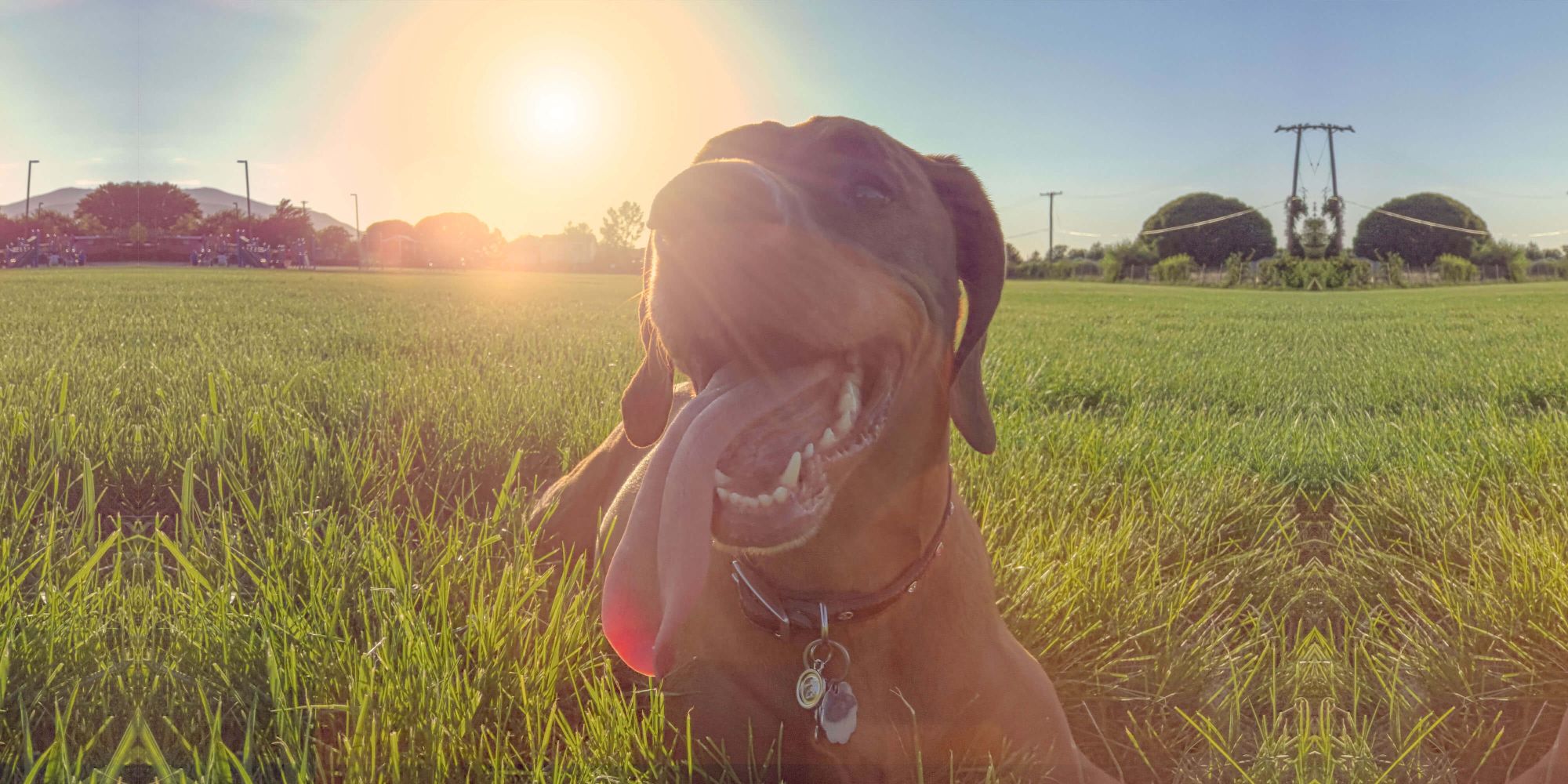 Heat stroke warning