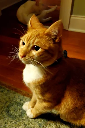 1906450397 20190703 115241 4613519 resized-jpg