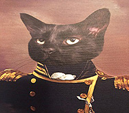 Admiral Turbo Meowington