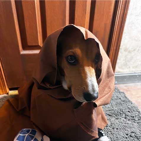 Luke Skybarker