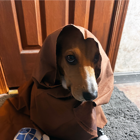 Luke Skybarker