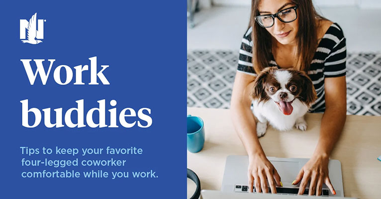 Work Buddies Infographic