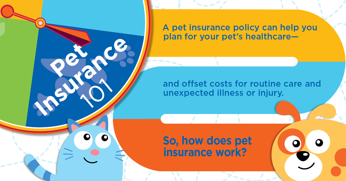 Amazon Employee Pet Insurance - Life Insurance Quotes