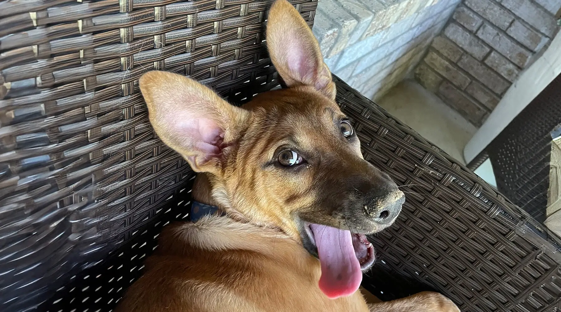 10391D 2025 Spring Companion Member Story Molly from Corporate 2