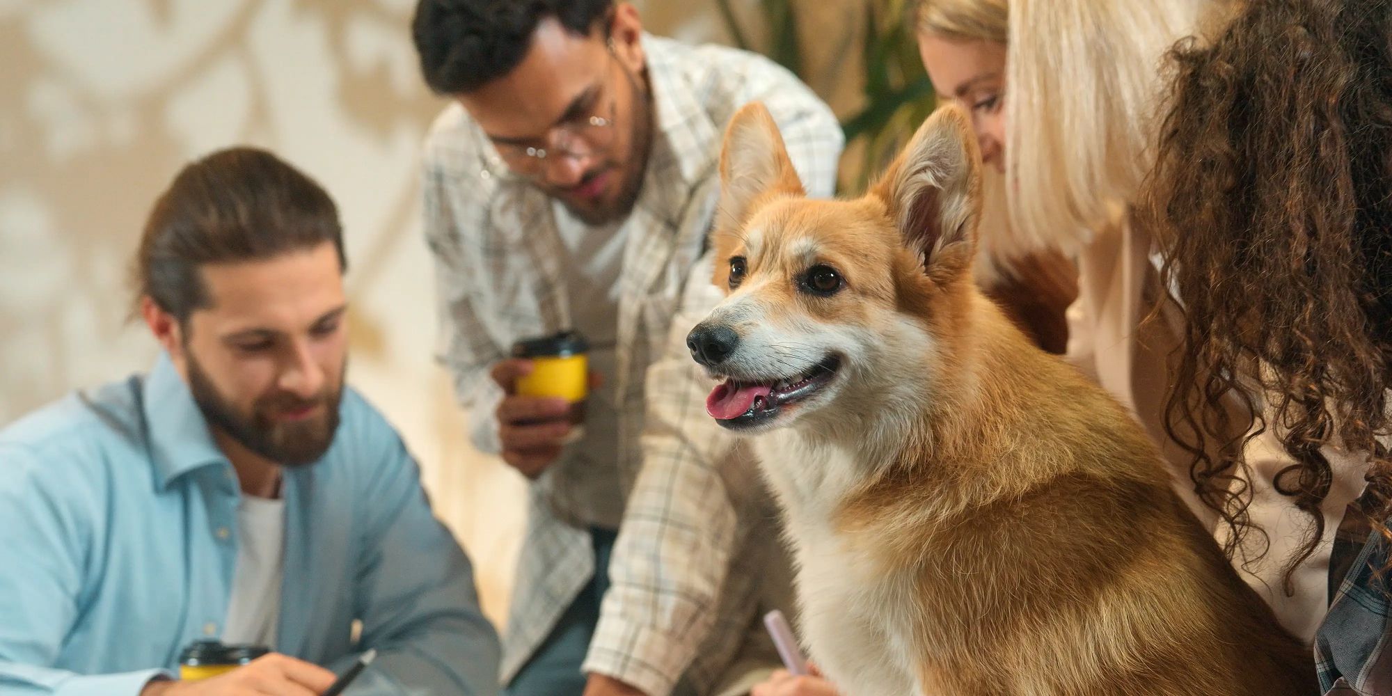 Pets and the workplace