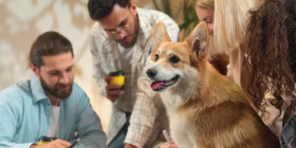 Pets and the workplace