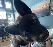 2023-WPN-everybody-loves-raymond-or-else