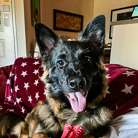 General Chaos