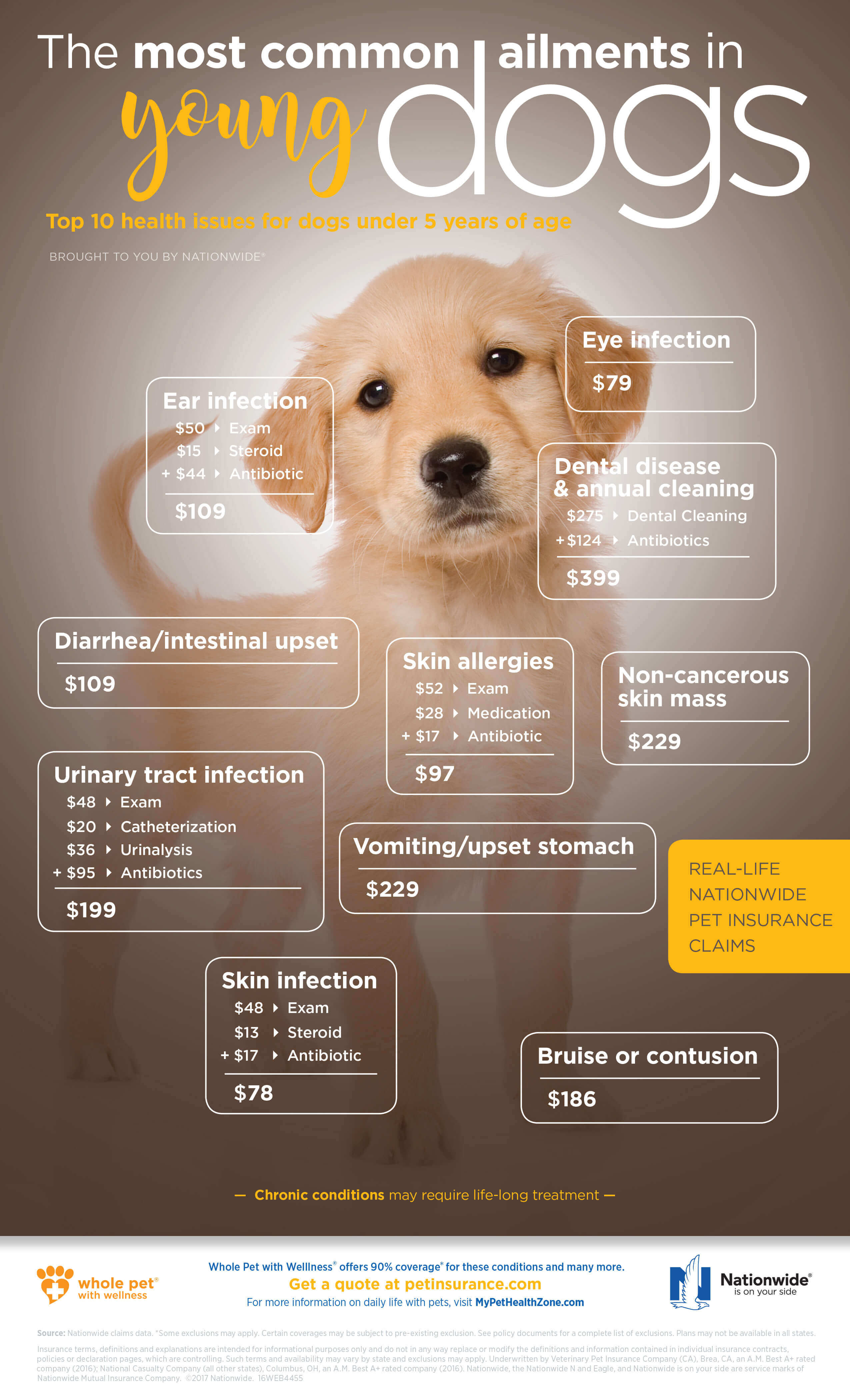 Most Common Conditions in Young Dogs Infographic