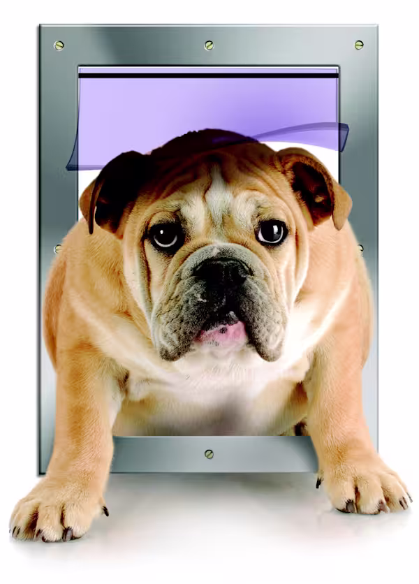 Doggie-Door-Front