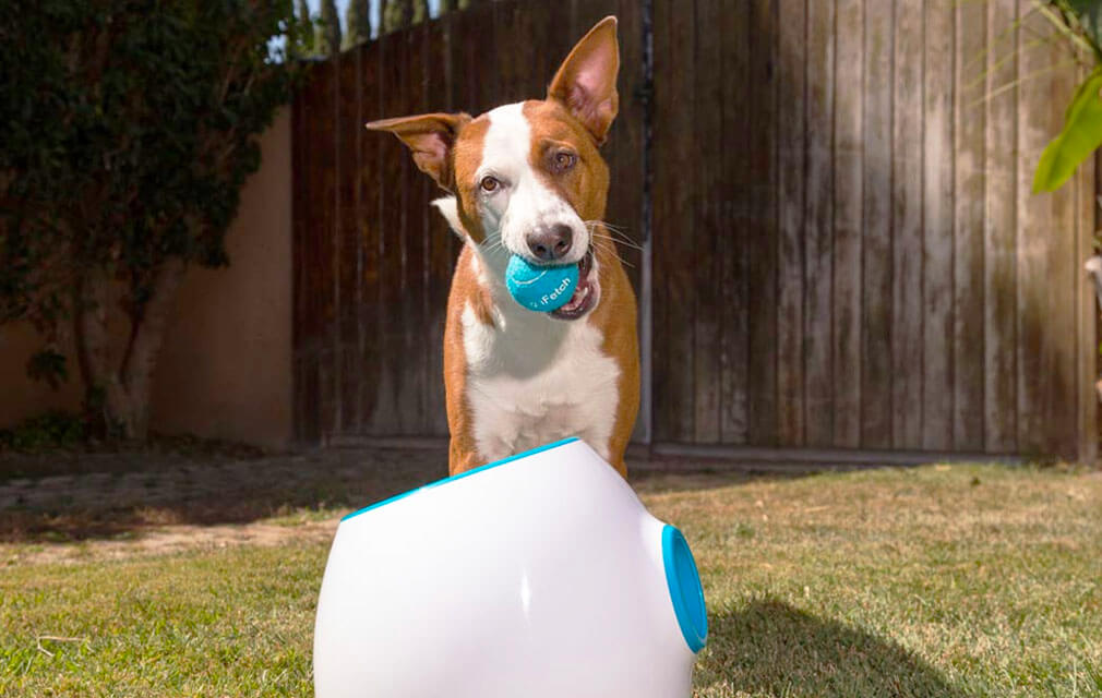 New high tech pet products