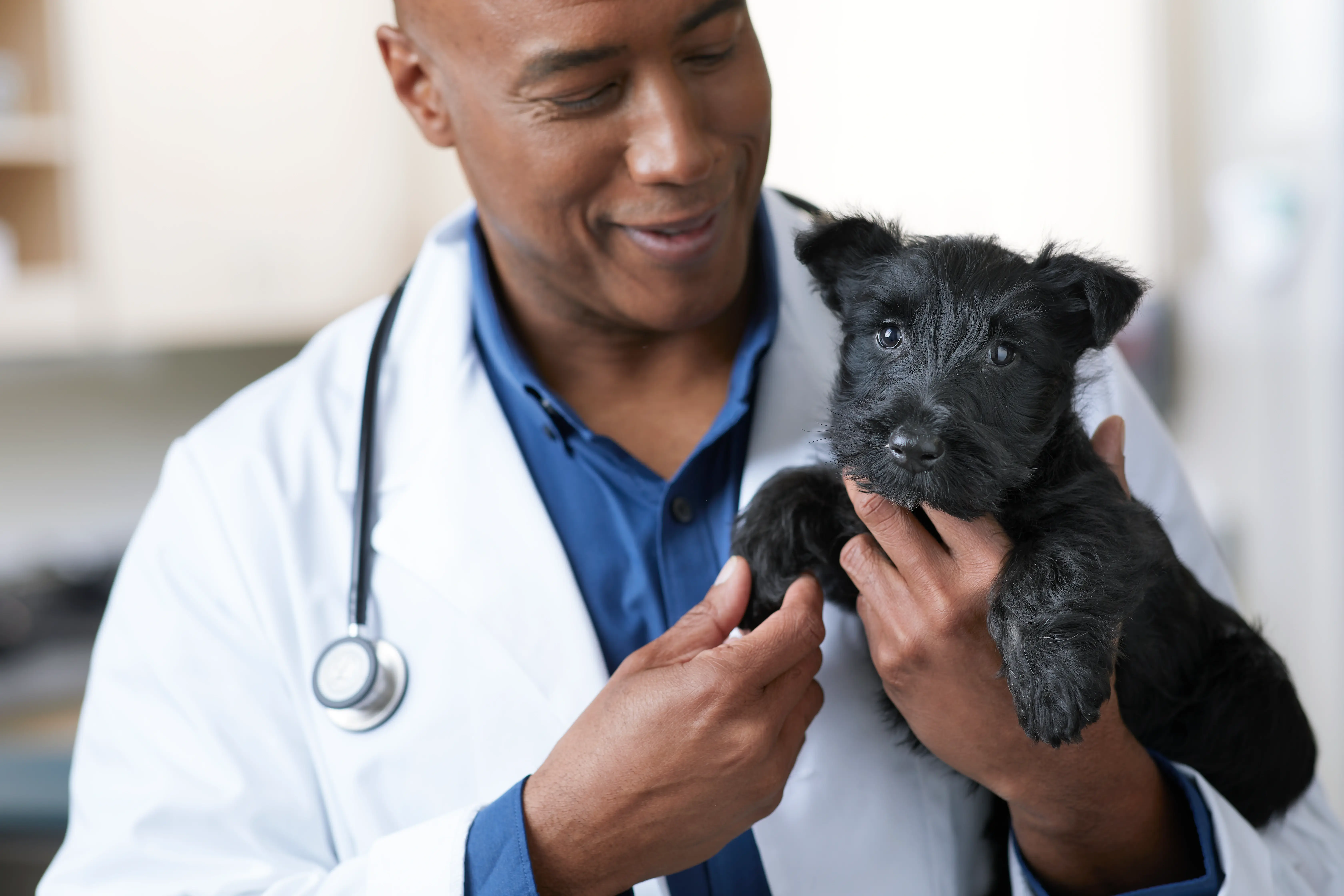 Member Benefit Spotlight: Save 10% at every vet visit at Petco