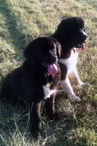 Aggie-and-Houser_HN-200x300