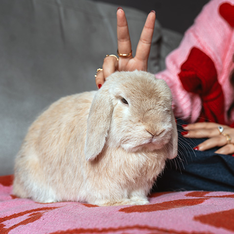 WPN Blog Thor Odinbun