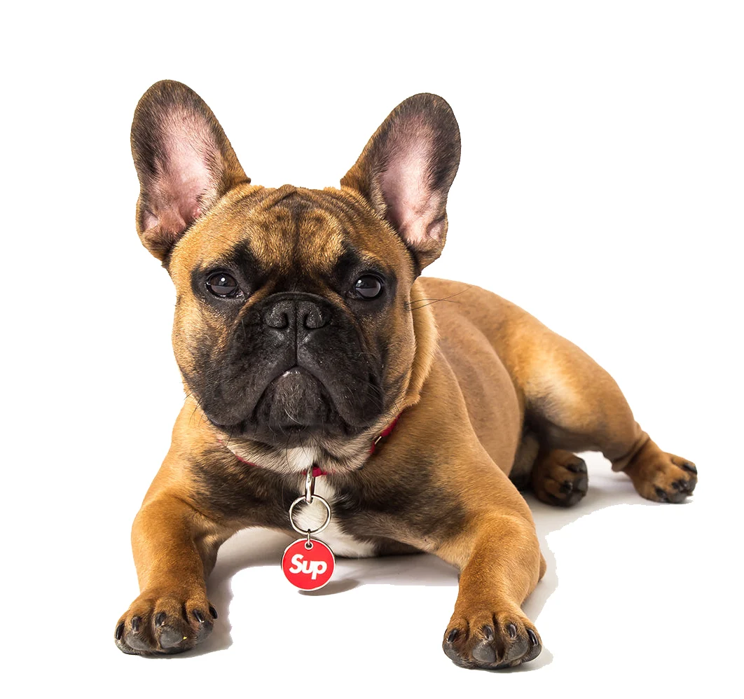 transparentlifestyle