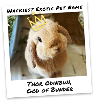 Exotic Polaroid@1.25x