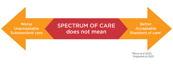 Spectrum of care value chart 2