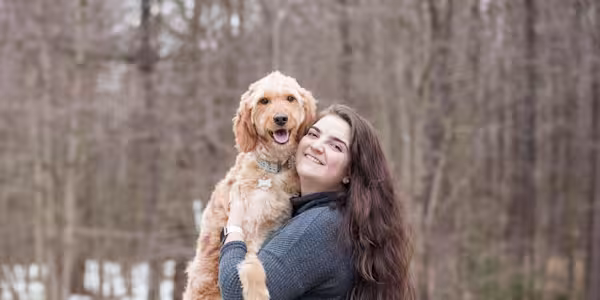 Playful goldendoodle’s winter misstep