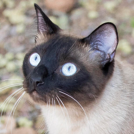 8958D CRS HB22 Casper Social WEB-jpg