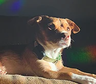 2023-WPN-the-dude-lebowwowski