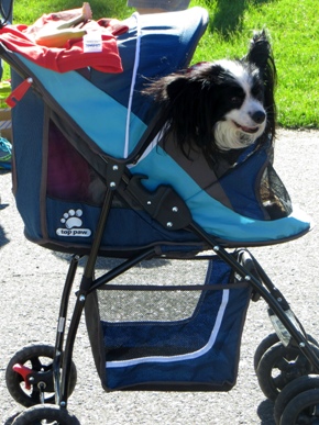 Stroller