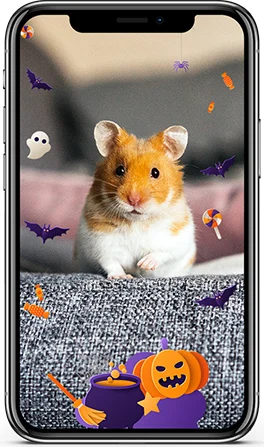 Hamster Phone