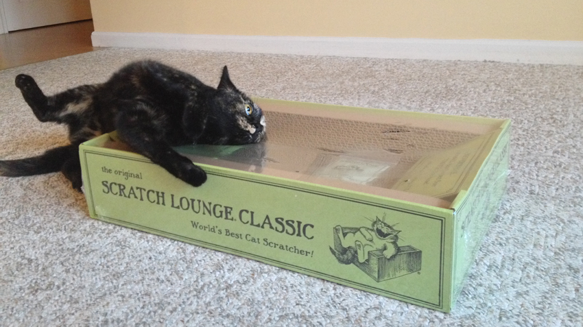 Scratchy Boxes