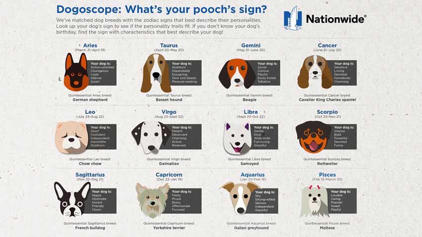 Pet-Horoscope-graphic-hero850