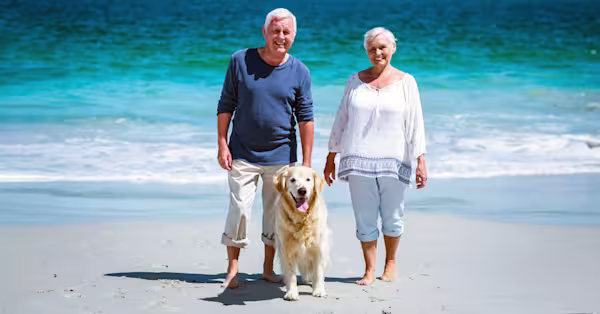 Summer safety for seniors and pets
