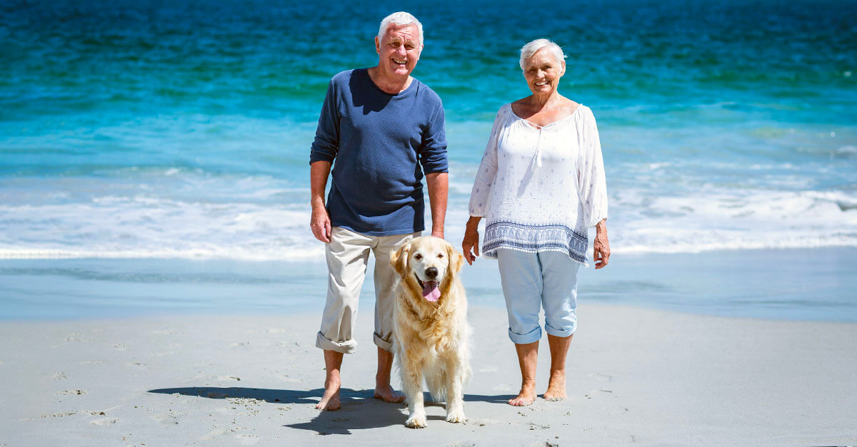 Summer safety for seniors and pets