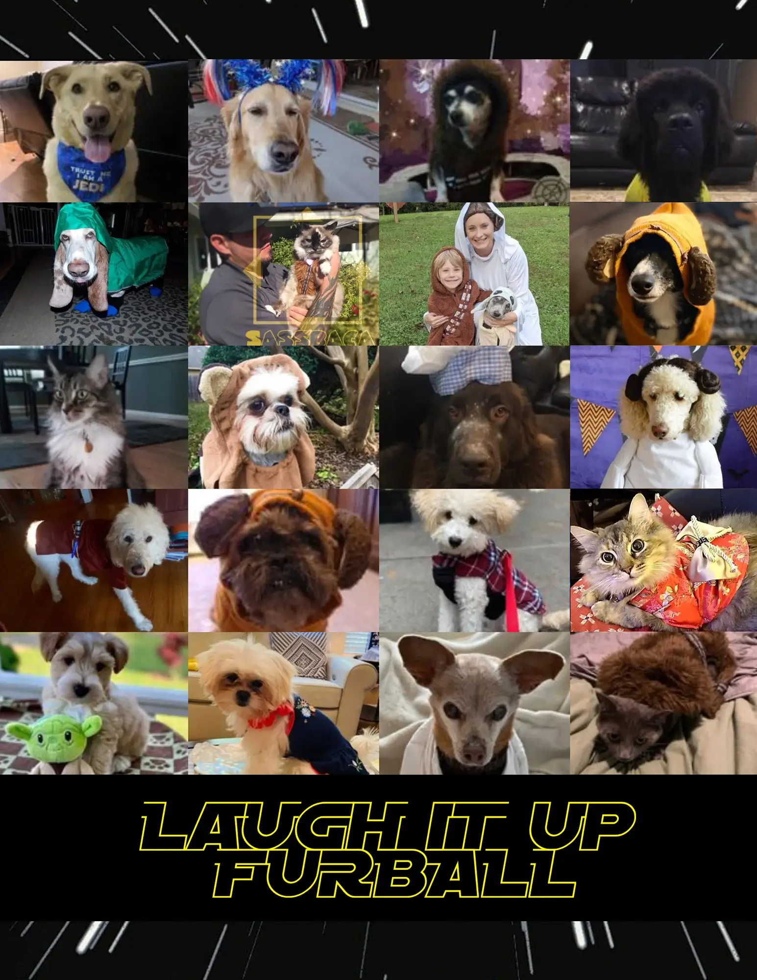 8797E REF Summer Companion 2022 LaughItUpFurball Collage
