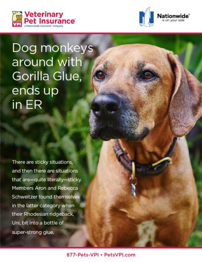 Real Life November 2015