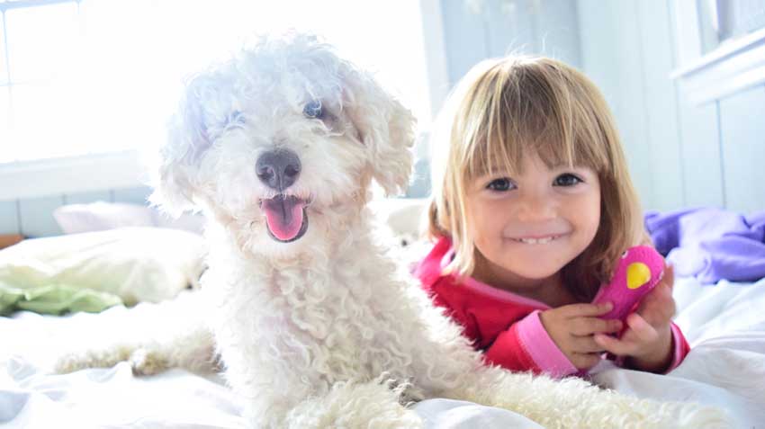 Pets and Children
