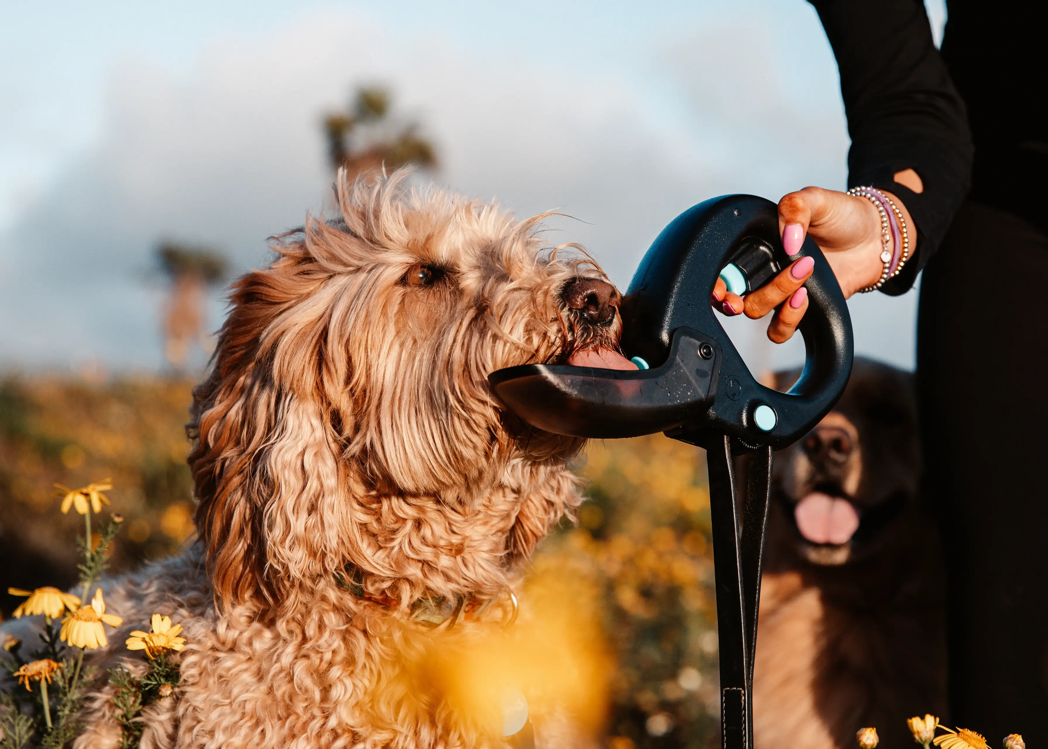 spleash 2022jussioksanen-31831