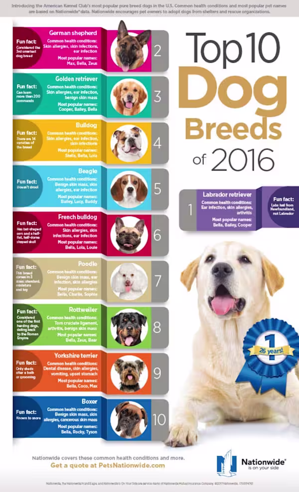 Top10 Dog Breeds 2016