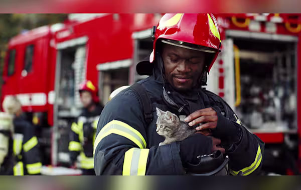 Disaster prep for pet owners