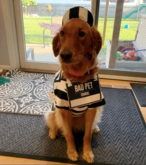 Winner 1 charlie grace