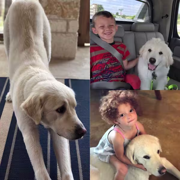 Max-Photo-Collage-1