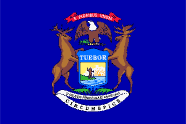Michigan flag