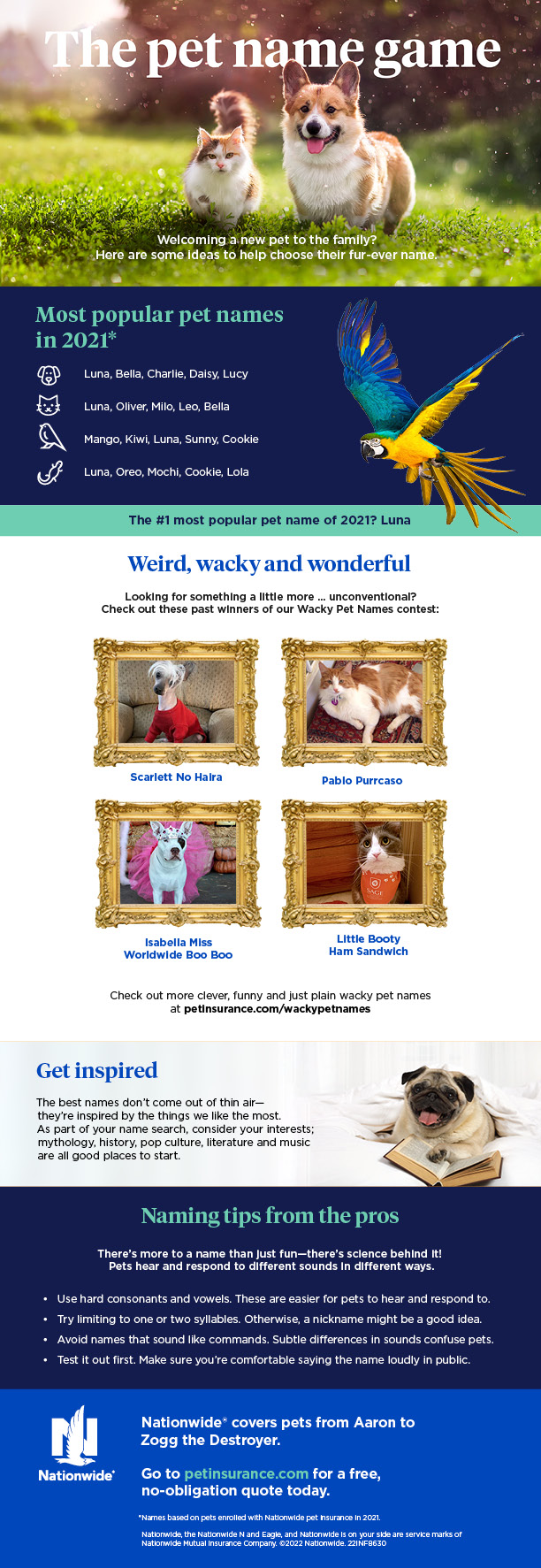 Best female best sale dog names ever