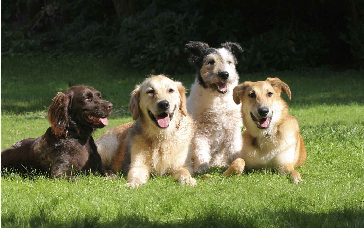 iStock_000004611696Medium2