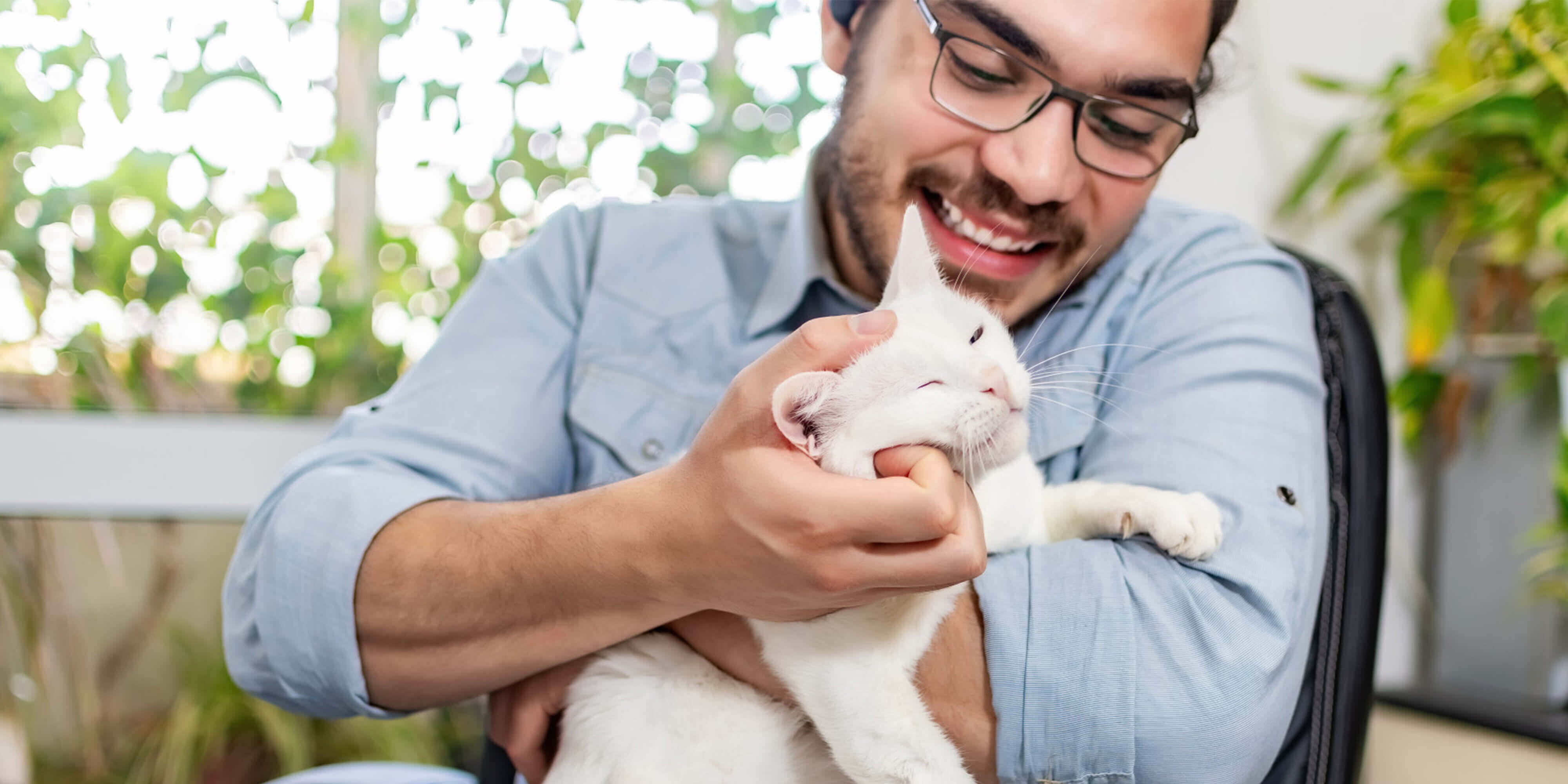 Celebrating our feline friends